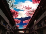 云南天幕屏.jpg
